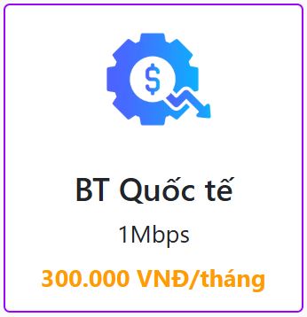 Băng thông quốc tế 1Mbps